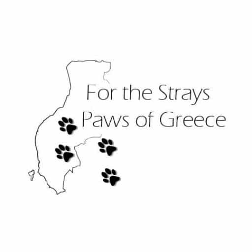 Adopteer een hond: Stichting FTS - Paws of Greece