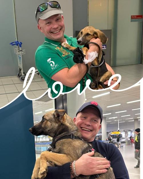 Adoptant Ricardo haalt zijn Griekse adoptiehonden op van Schiphol