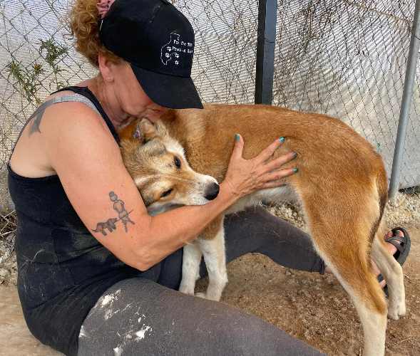 Zwerfhond Nelly houdt van knuffelen